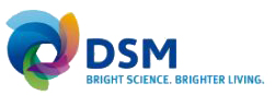 DSM DSM